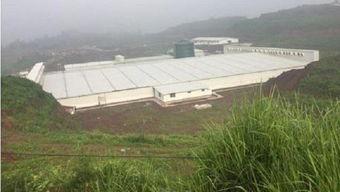 养猪场建设视频,从选址到投产