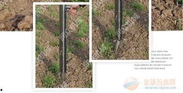 栽辣椒苗的机器视频,辣椒苗栽植机器操作演示