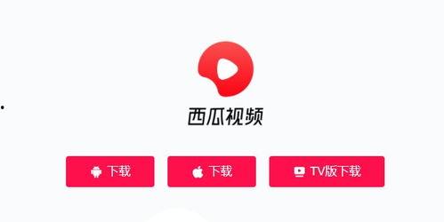 电西瓜视频,揭秘短视频时代的魅力与挑战