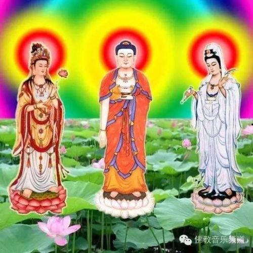 阿弥陀佛唱诵视频,阿弥陀佛唱诵视频，净化心灵之旅