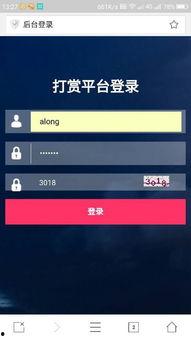 怎么制作打赏视频,轻松制作打赏视频的实用指南