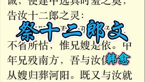 十二经视频,视频深度解析