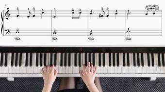 钢琴震音视频,指尖舞动下的音符盛宴